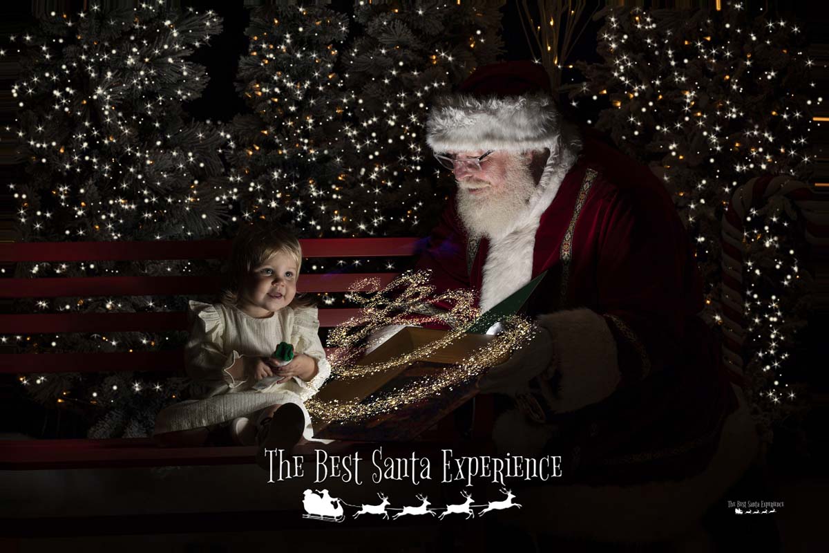 Santa reads The Night Before Christmas to a cute little girl at The Best Santa Experience.